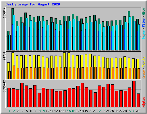 Daily usage for August 2020