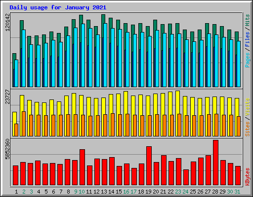 Daily usage for January 2021