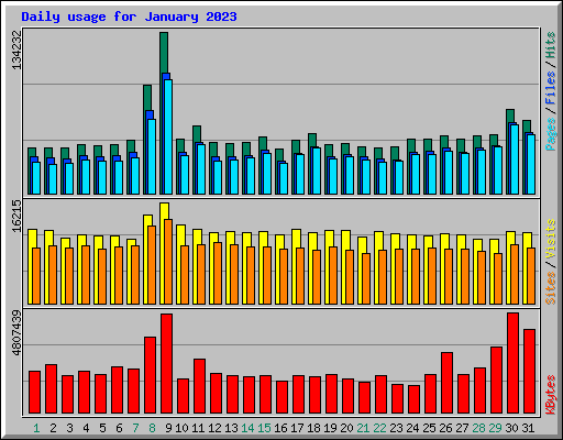 Daily usage for January 2023