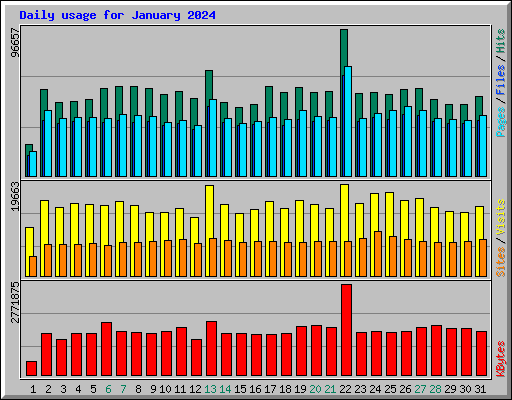 Daily usage for January 2024