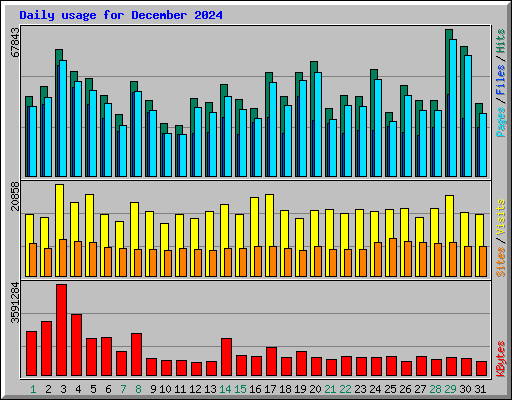 Daily usage for December 2024
