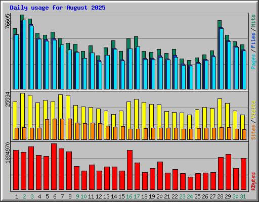 Daily usage for August 2025