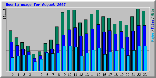 Hourly usage for August 2007