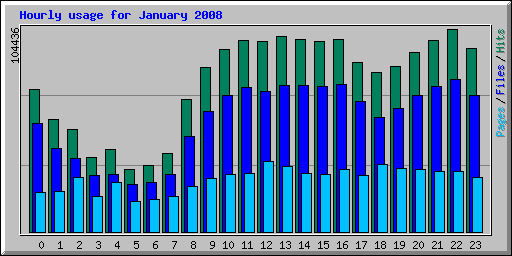 Hourly usage for January 2008