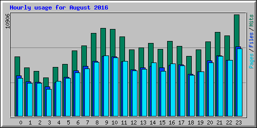 Hourly usage for August 2016