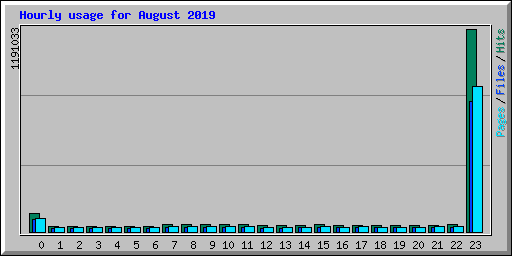 Hourly usage for August 2019