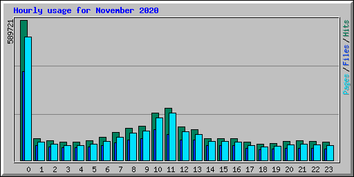 Hourly usage for November 2020