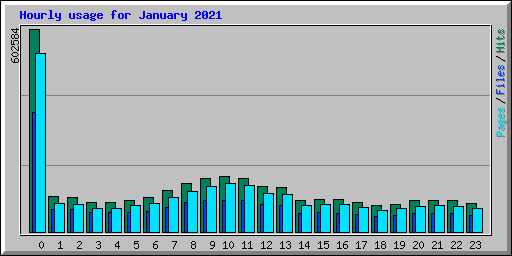 Hourly usage for January 2021