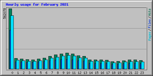 Hourly usage for February 2021