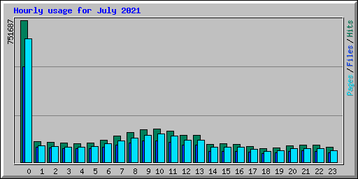 Hourly usage for July 2021