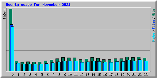 Hourly usage for November 2021