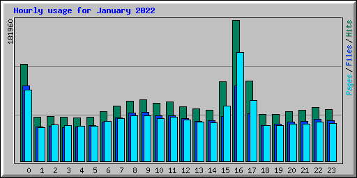 Hourly usage for January 2022