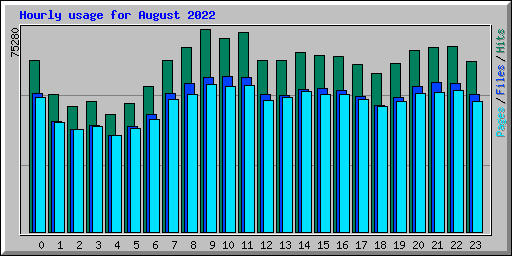 Hourly usage for August 2022