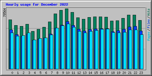 Hourly usage for December 2022