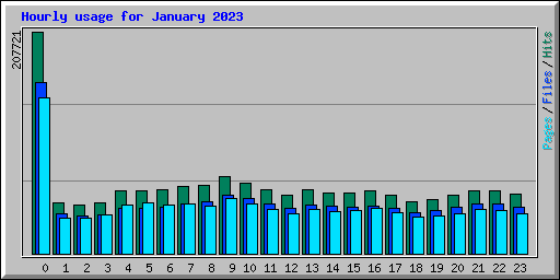 Hourly usage for January 2023