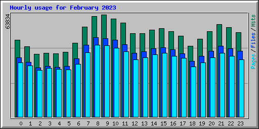 Hourly usage for February 2023