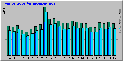 Hourly usage for November 2023