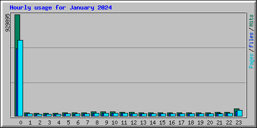 Hourly usage for January 2024