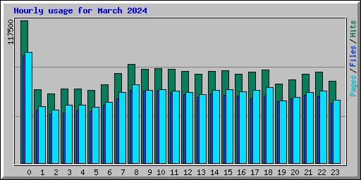 Hourly usage for March 2024