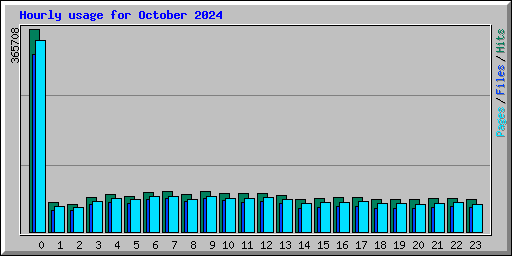 Hourly usage for October 2024