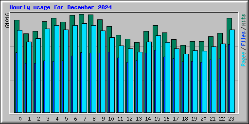 Hourly usage for December 2024