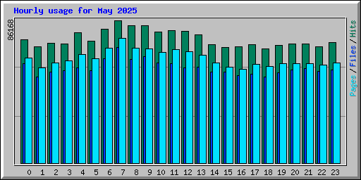 Hourly usage for May 2025