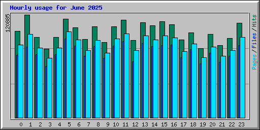 Hourly usage for June 2025