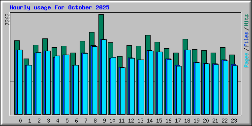 Hourly usage for October 2025