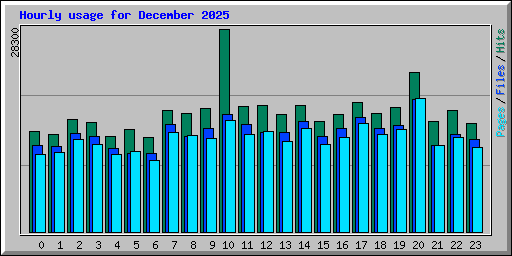 Hourly usage for December 2025