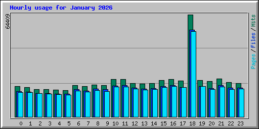 Hourly usage for January 2026
