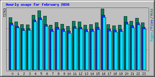 Hourly usage for February 2026