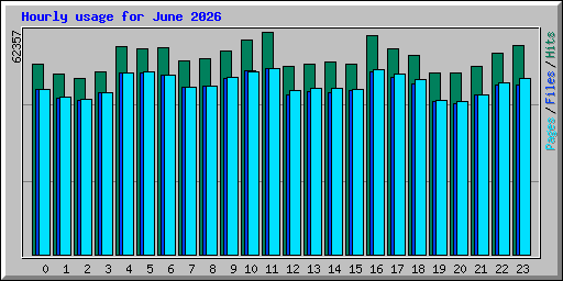 Hourly usage for June 2026