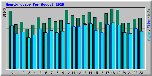 Hourly usage for August 2026